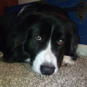 Meet your Posher, Tasha